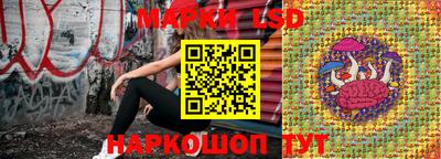 крисы Кулебаки