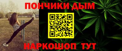 крисы Кулебаки