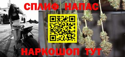 крисы Кулебаки