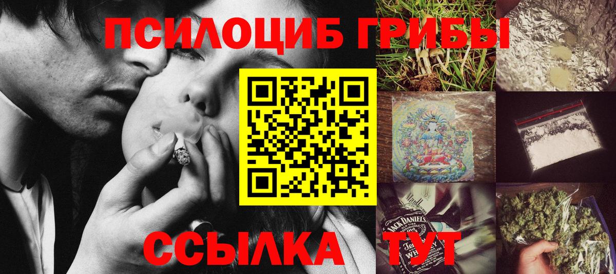 Чайковский  Галлюциногенные грибы прущие грибы  Вход с VPN  Псилоцибиновые грибы Psilocybe 